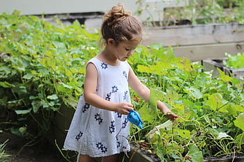 A young girl tending to plants in a summer garden, capturing joy and nature. HD wallpaper