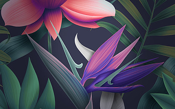 Floral, huawei mate 10, stock HD wallpaper