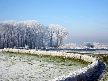 *** WINTER ***, blue, winter, snowy, path, house, cold, grass, tree, snow, green, trees, road, nature, sky HD wallpaper