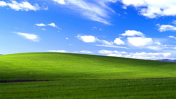 Windows XP Bliss | HD wallpaper