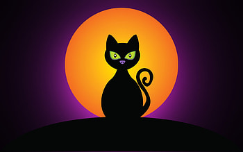 Drawing cat, halloween, cat, abstract, moon HD wallpaper