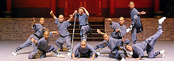 Kung Fu show, Shaolin Kung Fu HD wallpaper