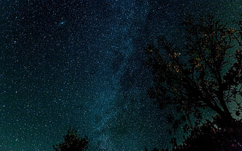 http://www.walldevil.com//w09/space-trees-stars-starry-night.jpg | the Trees are full of Starlight | Pinterest HD wallpaper