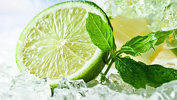 Lime, Citrus fruit, Lemon, Fresh HD wallpaper