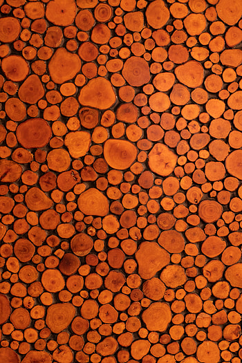 Wood, Tree, Texture, Textures, Brown, Logs HD phone wallpaper