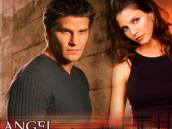 angel cordy, love, nice HD wallpaper