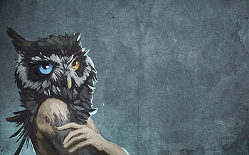 Art, Background, Owl, Girl, Head, Faded HD wallpaper