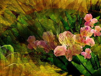 FLOWERS, pink, green, yellow HD wallpaper