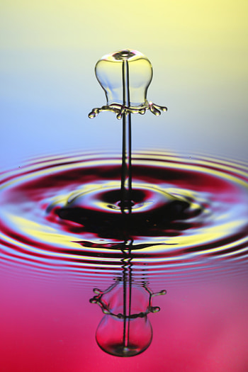 Water, Macro, Splash, Liquid, Drop HD phone wallpaper