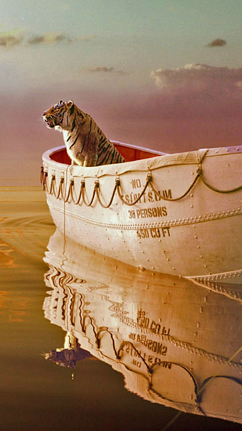 Life of Pi, , backgrounds, Drama HD phone wallpaper