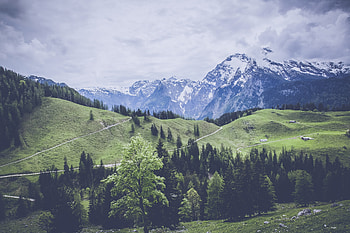 Nature, Grass, Mountains, Meadow, Pasture, Woods, Scaffolding HD wallpaper