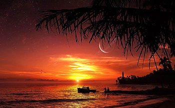 Tropical beach sunset, sea, tropic, palm, sunset HD wallpaper