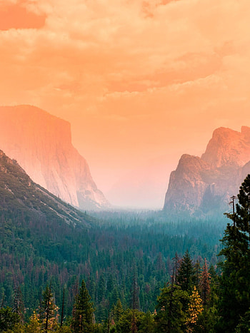Yosemite National Park, Yosemite Valley, Summer, Nature HD phone wallpaper