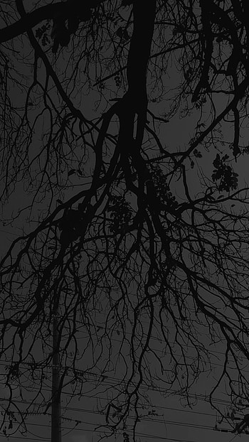 Paisaje, sky, tints_and_shades HD phone wallpaper
