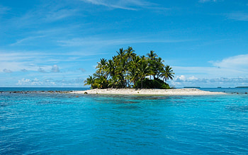 Landscape, Sea, Palms HD wallpaper