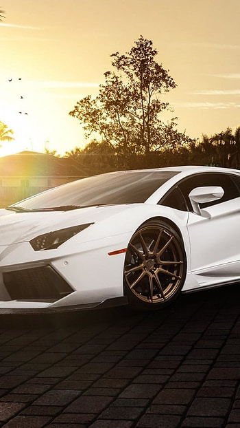 Luxury Car, White Gallardo HD phone wallpaper