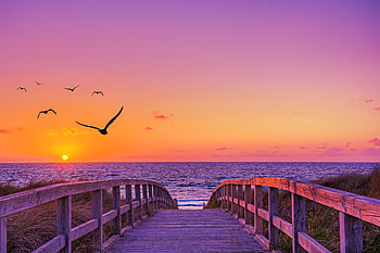 Bridge on beach, bridge, beautiful, sky, sunset, sunrise, ocean, sea, vacation, summer, sun HD wallpaper