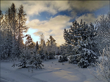 Winter, clouds, sky, snow HD wallpaper