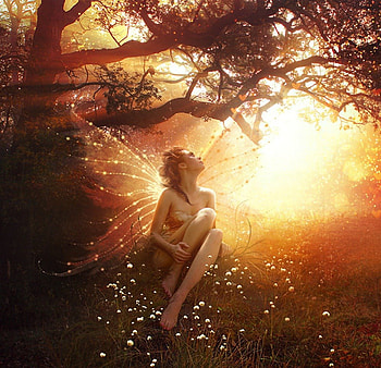 Dream Believer, fairy, wings, fantasy, trees, flowers, sunrise HD wallpaper