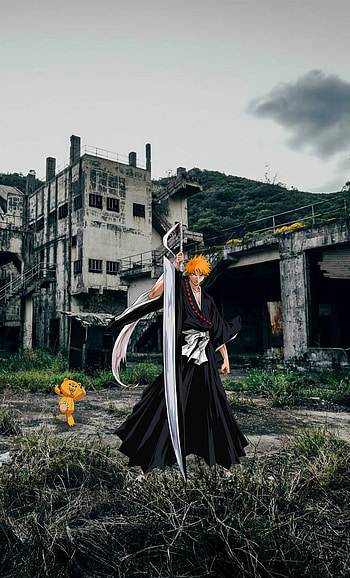 Ichigo x Kon, Ichigo Kurosaki, Anime, Bleach HD phone wallpaper