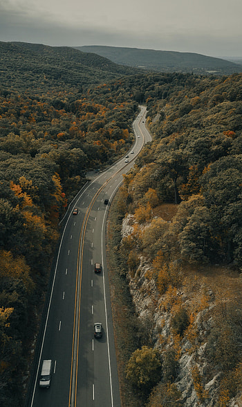 Road, Auto, Nature, Trees, Autumn, Forest HD phone wallpaper