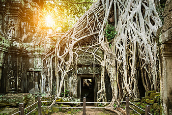 Angkor Wat, Architectural marvel, Cambodian history, Sacred temple complex HD wallpaper