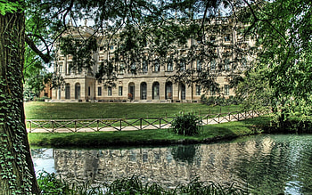 Cities, Water, Trees, City, Park HD wallpaper