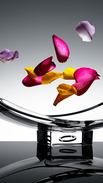 Moving, Colorful Petals HD phone wallpaper