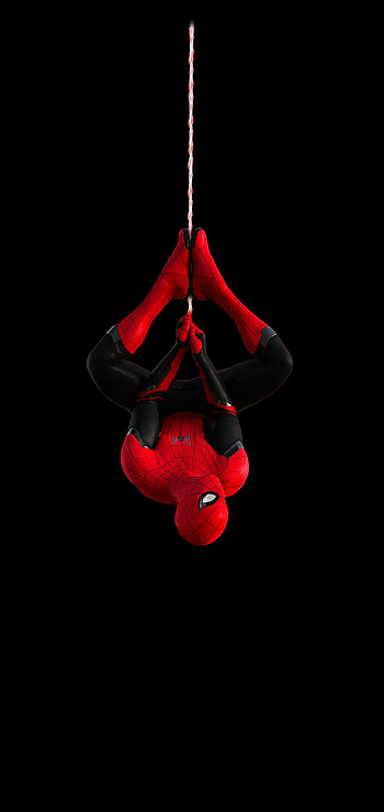 Galaxy Note 10 Plus [Hide Camera], Dot Notch HD phone wallpaper