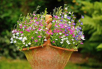 Pretty flowers, basket, graphy, pretty, garden, flowers HD wallpaper
