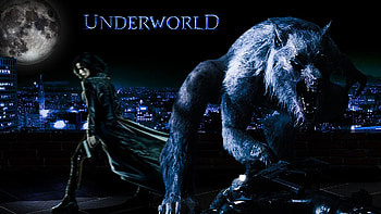 Michael, Underworld, Top backgrounds HD wallpaper