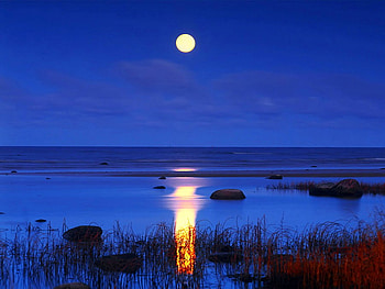 Blue Moon, night, blue, moon HD wallpaper