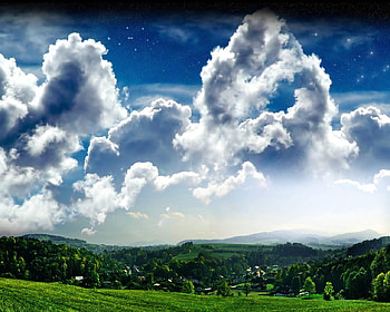 sunny field, field, shine, green, sky, grass HD wallpaper