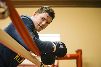 Canelo Álvarez: Focus in the Ring, Sports, boxing, Canelo Álvarez HD wallpaper