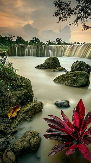 Beautiful For, Wonderful HD phone wallpaper