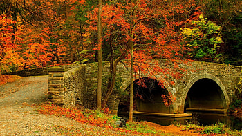 Park in autumn, leaves, river, fall, bridge, trees, colors HD wallpaper