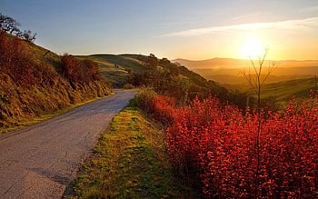 Nature, Autumn, Road, Turn, Traffic, Movement, Elevation HD wallpaper