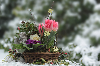 Beautiful, colorful flowers, basket HD wallpaper