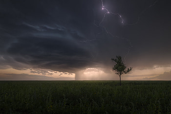 The calm before the storm, sky, nature, tree, sunset HD wallpaper