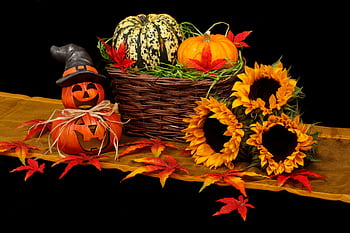 Colorful Halloween scene with jack-o'-lanterns, pumpkins, sunflowers, and autumn leaves. HD wallpaper