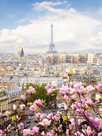 Paris, Architectural wonders, Cultural capital, City of love HD phone wallpaper