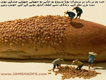 Motivation, urdu, sadness, love HD wallpaper