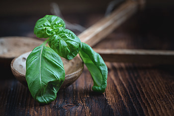 Food, Tablewares, Greens, Basil HD wallpaper
