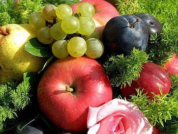 Fruits, Food, Grass, Apples, Grapes, Plum HD wallpaper