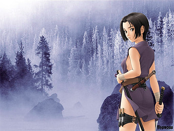 Beautiful Ninja, anime, ninja HD wallpaper