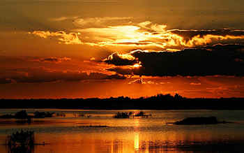 silhouettes at sunset, clouds, birds, lake, sunset HD wallpaper