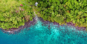 A stunning aerial view of Sukakarya's vibrant coast in Indonesia, featuring lush greenery and turquoise waters. HD wallpaper