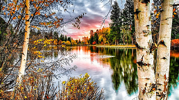 Autumn River, trees, river, autumn, reflection HD wallpaper