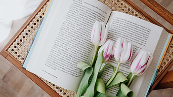 Flowers books pc , Floral aesthetic, Botanical charm, Bookshelf decoration HD wallpaper
