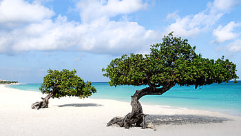 Aruba Island, Travels, Vacation rentals, Caya Luna HD wallpaper
